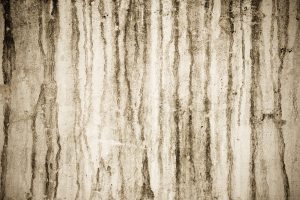 3 Causes for Basement Mold Problems