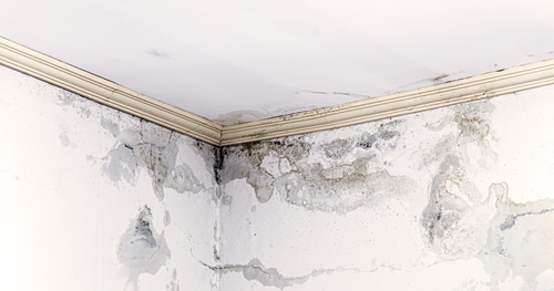 Water Seepage In The Walls
